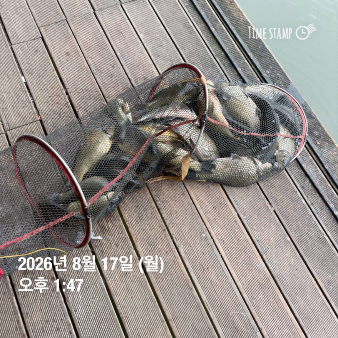 KakaoTalk_20260818_171729585_28.jpg