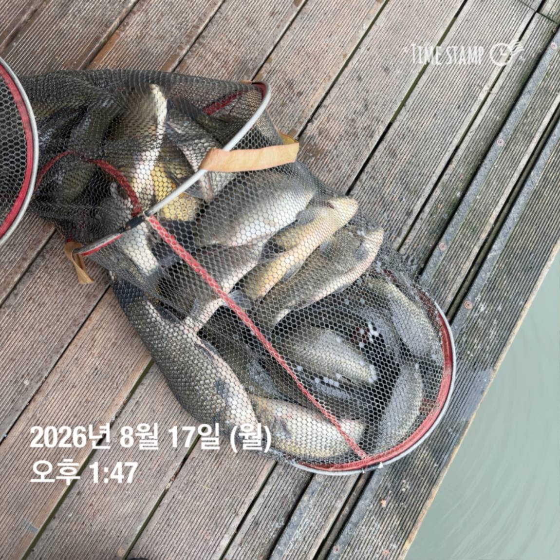 KakaoTalk_20260818_171729585_29.jpg