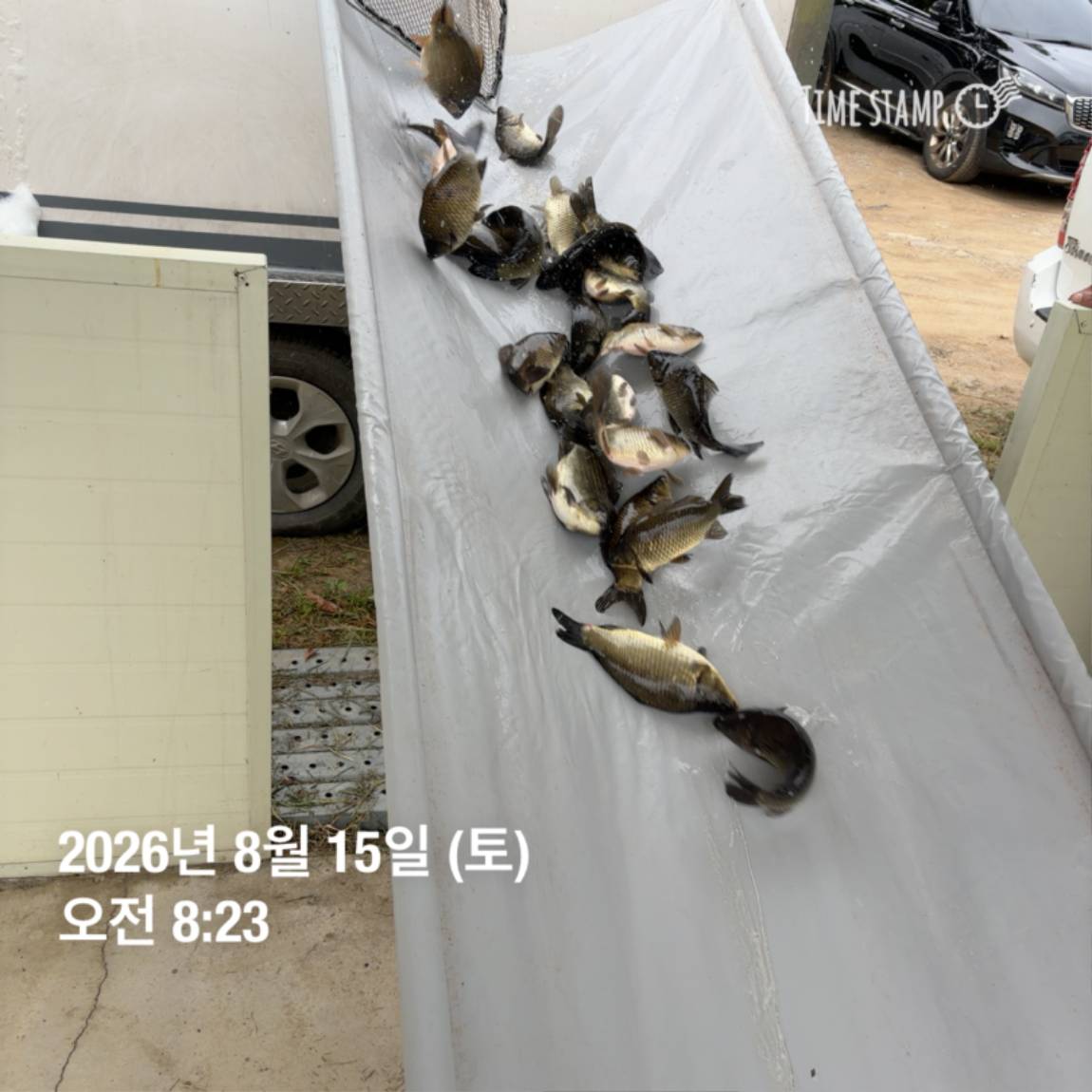 KakaoTalk_20260818_171734088_01.jpg