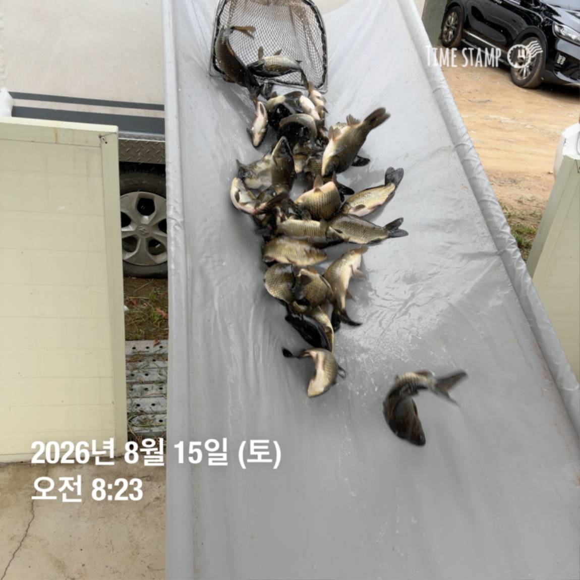 KakaoTalk_20260818_171734088_02.jpg