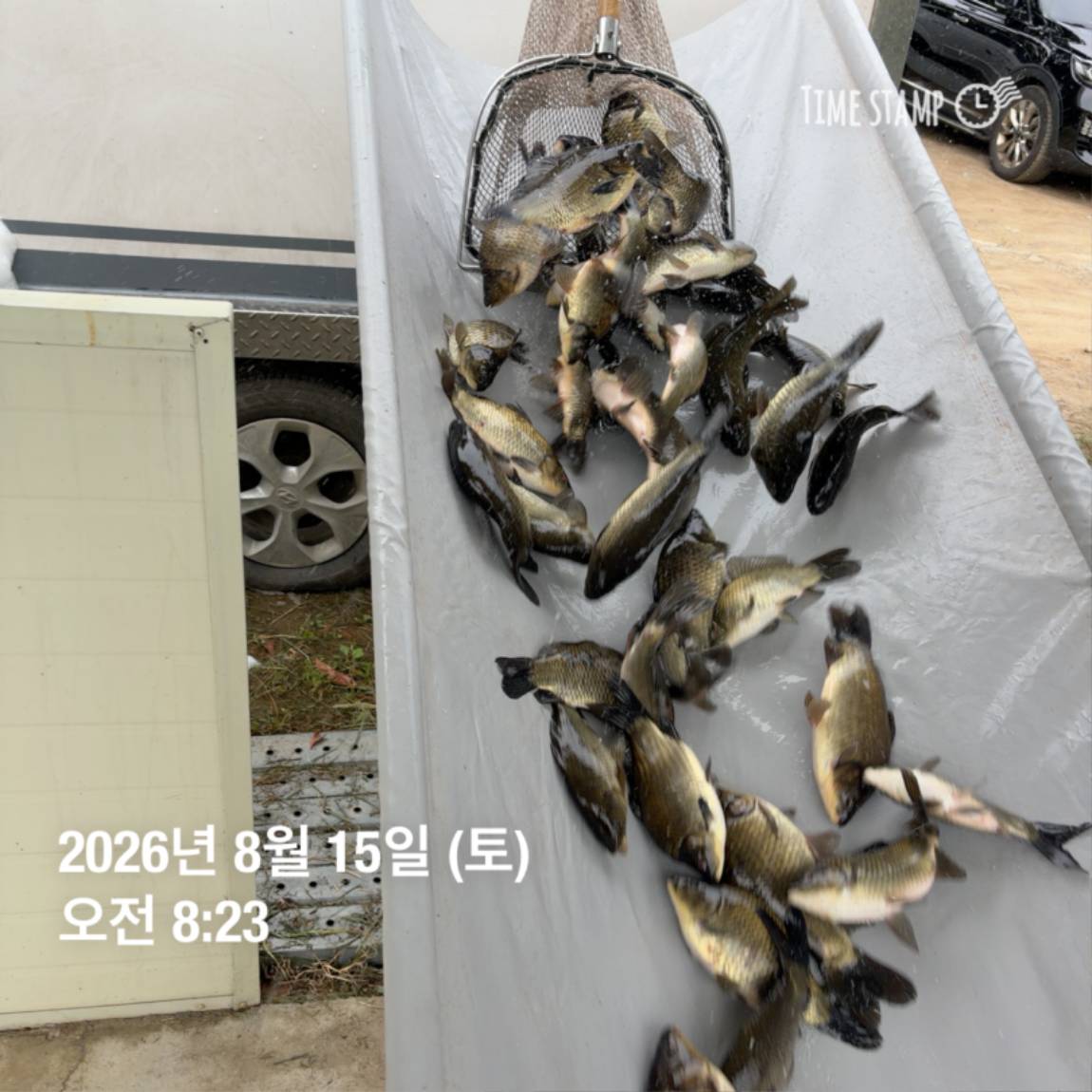 KakaoTalk_20260818_171734088_05.jpg