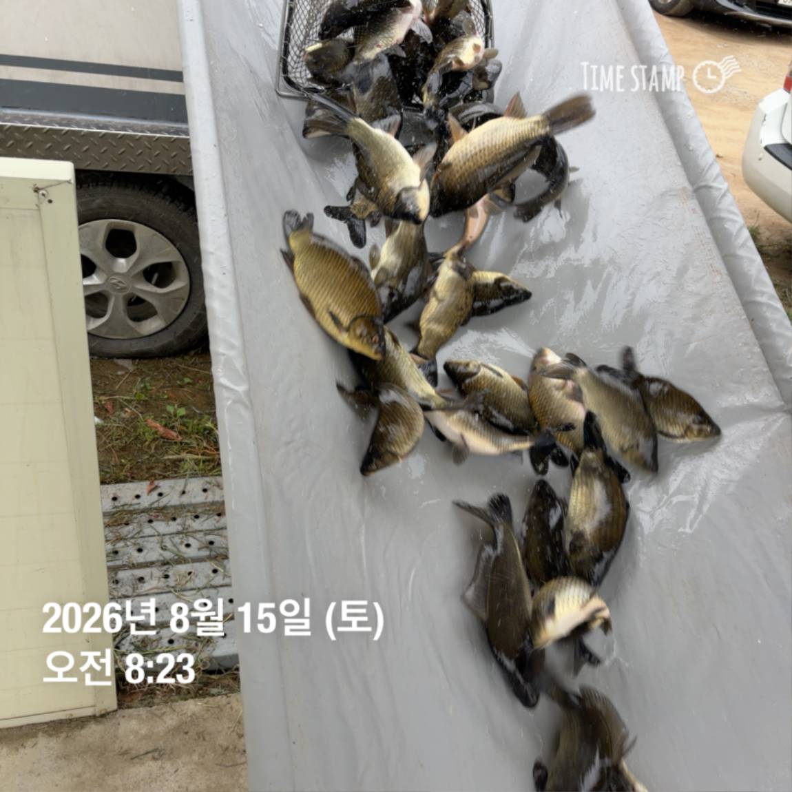 KakaoTalk_20260818_171734088_08.jpg