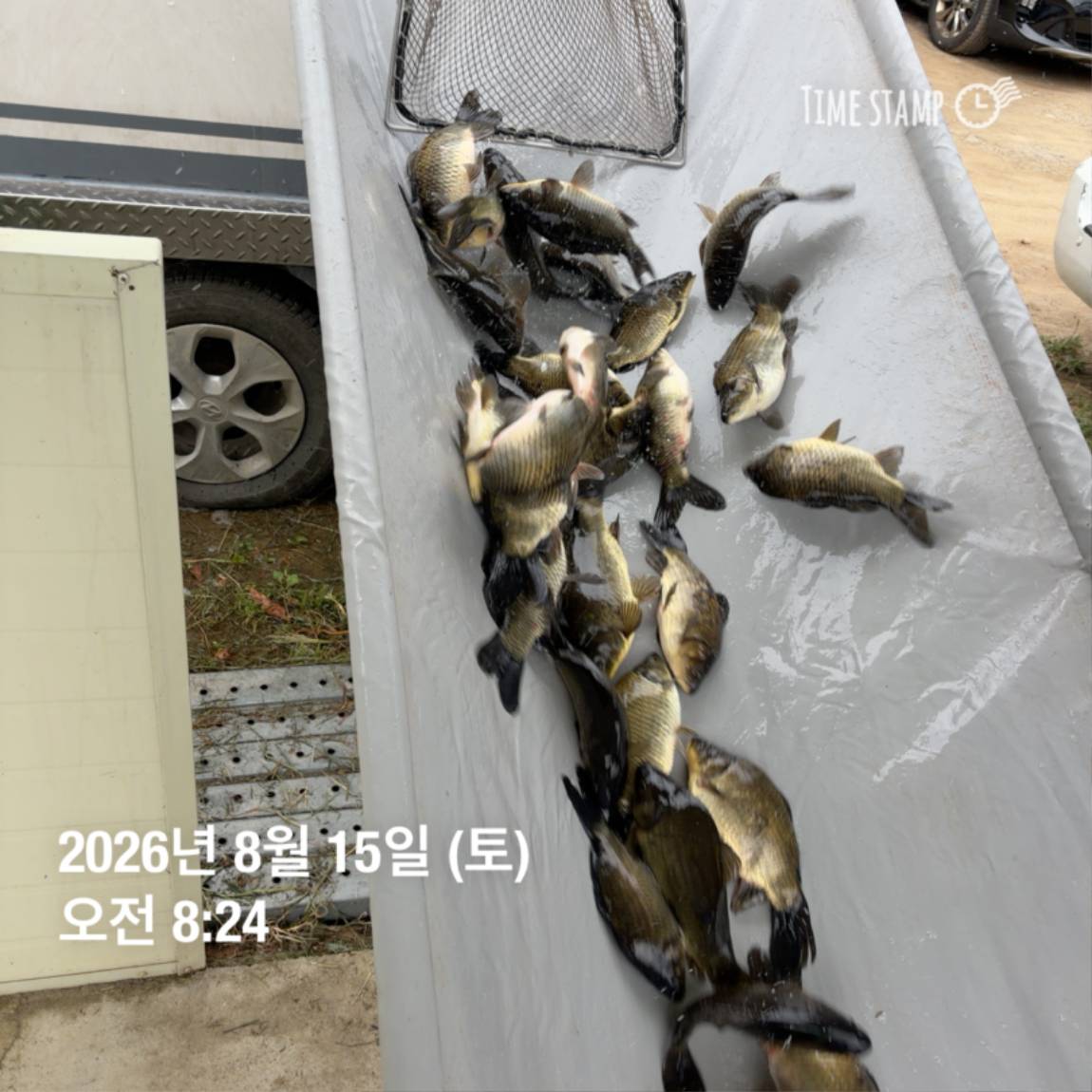 KakaoTalk_20260818_171734088_11.jpg