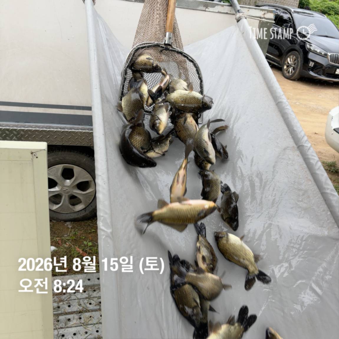 KakaoTalk_20260818_171734088_13.jpg