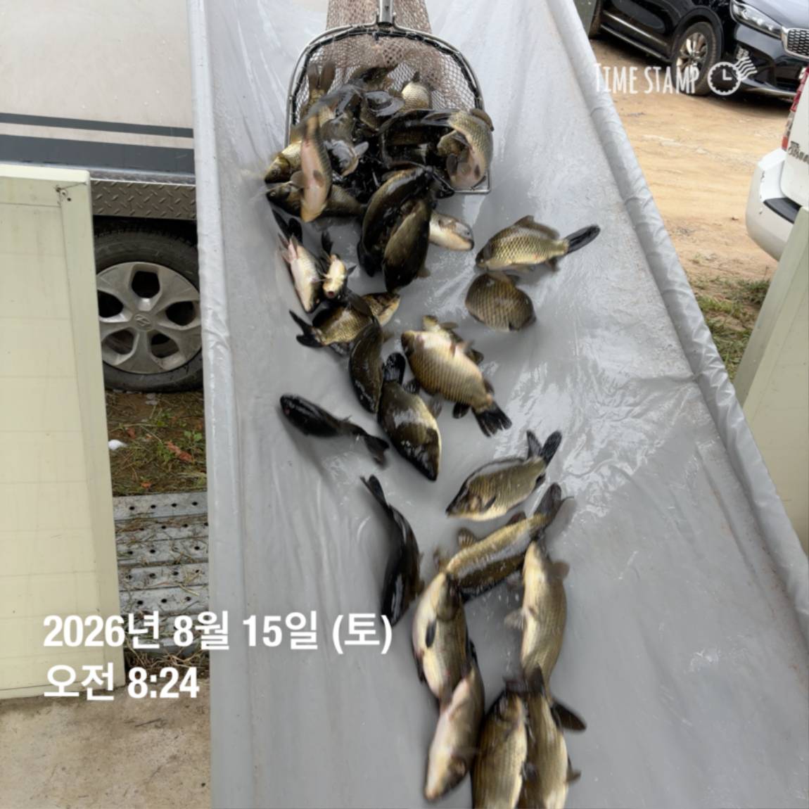 KakaoTalk_20260818_171734088_15.jpg