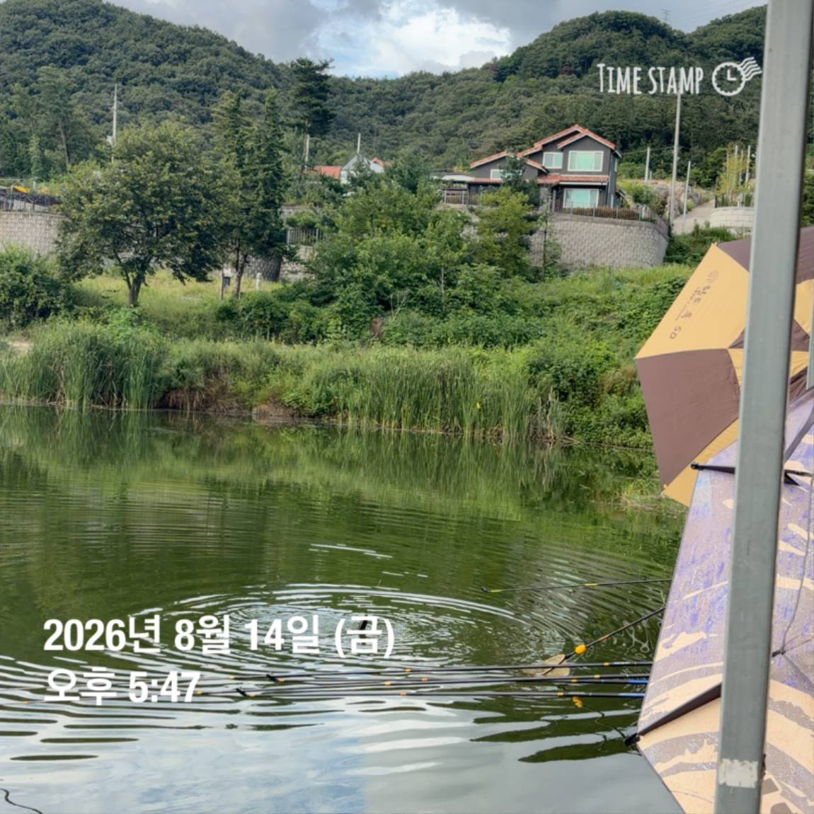 KakaoTalk_20260818_171734088_22.jpg