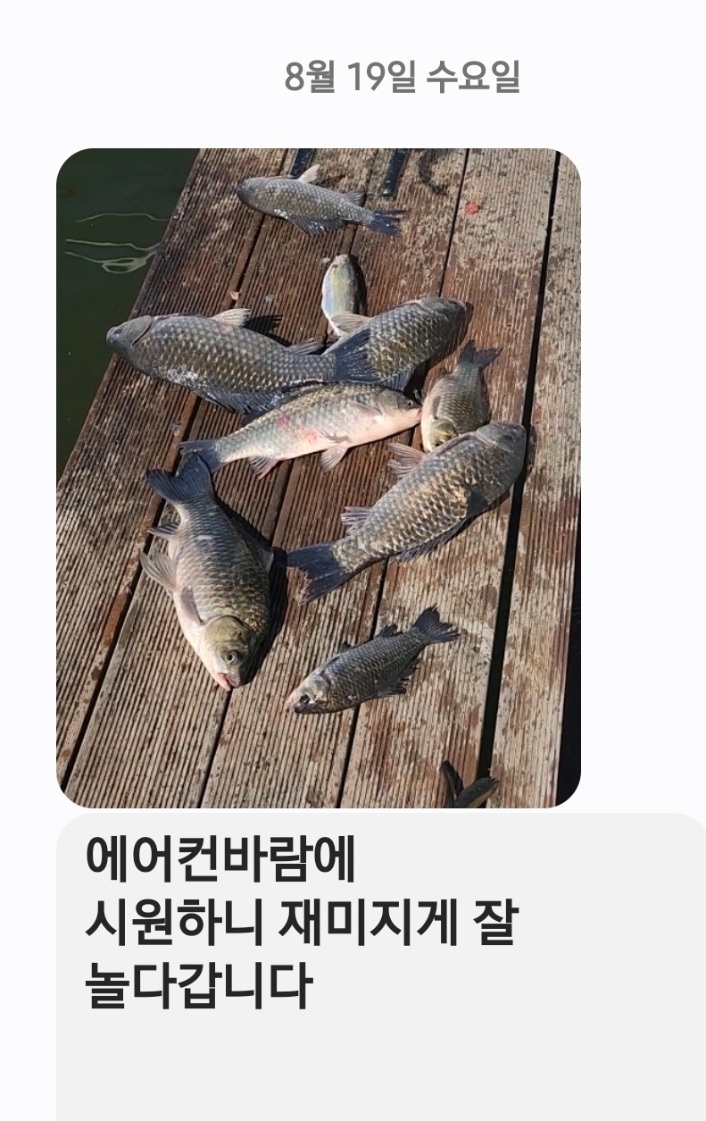 Screenshot_20260819_104309_Messages.jpg