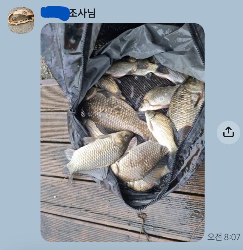 Screenshot_20260817_084141_KakaoTalk.jpg