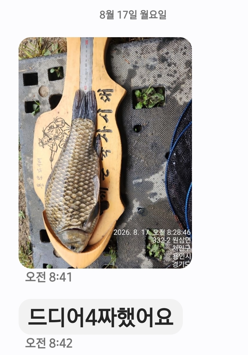 Screenshot_20260817_084234_Messages.jpg