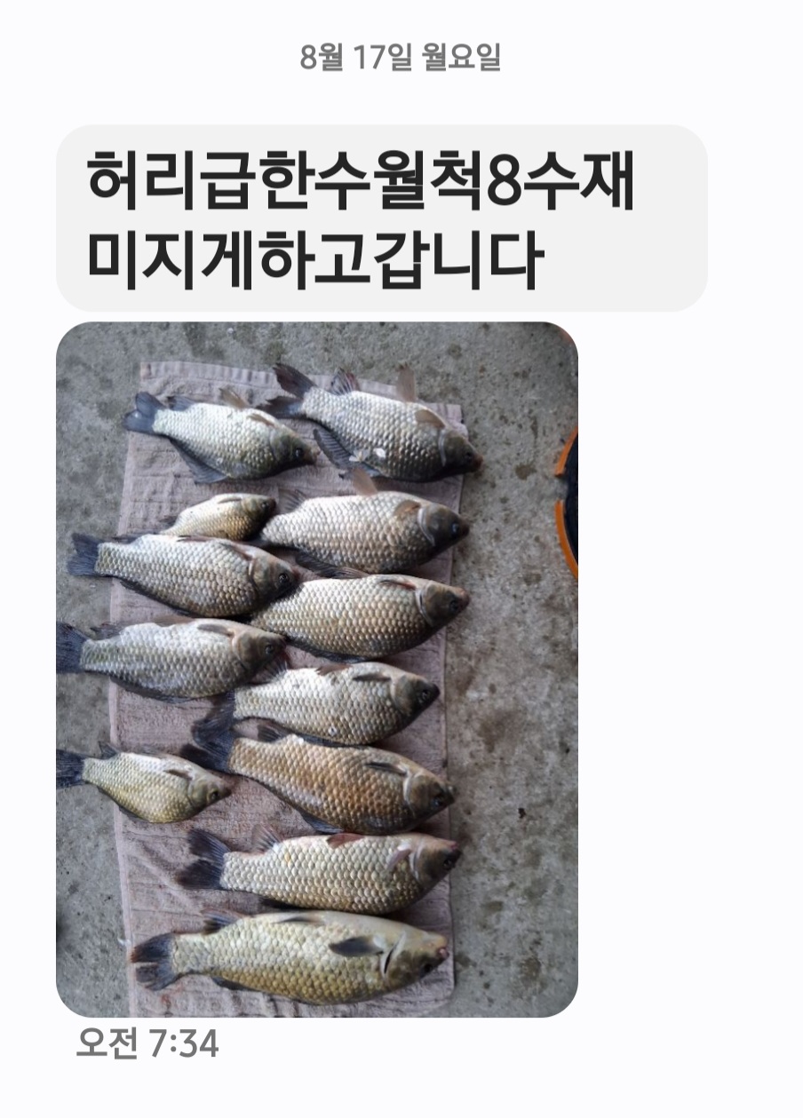 Screenshot_20260817_080907_Messages.jpg