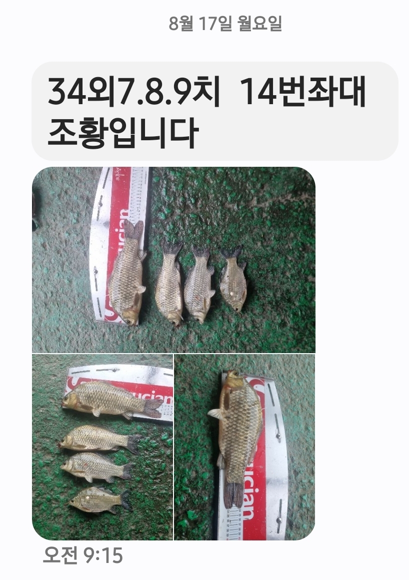 Screenshot_20260817_094517_Messages.jpg