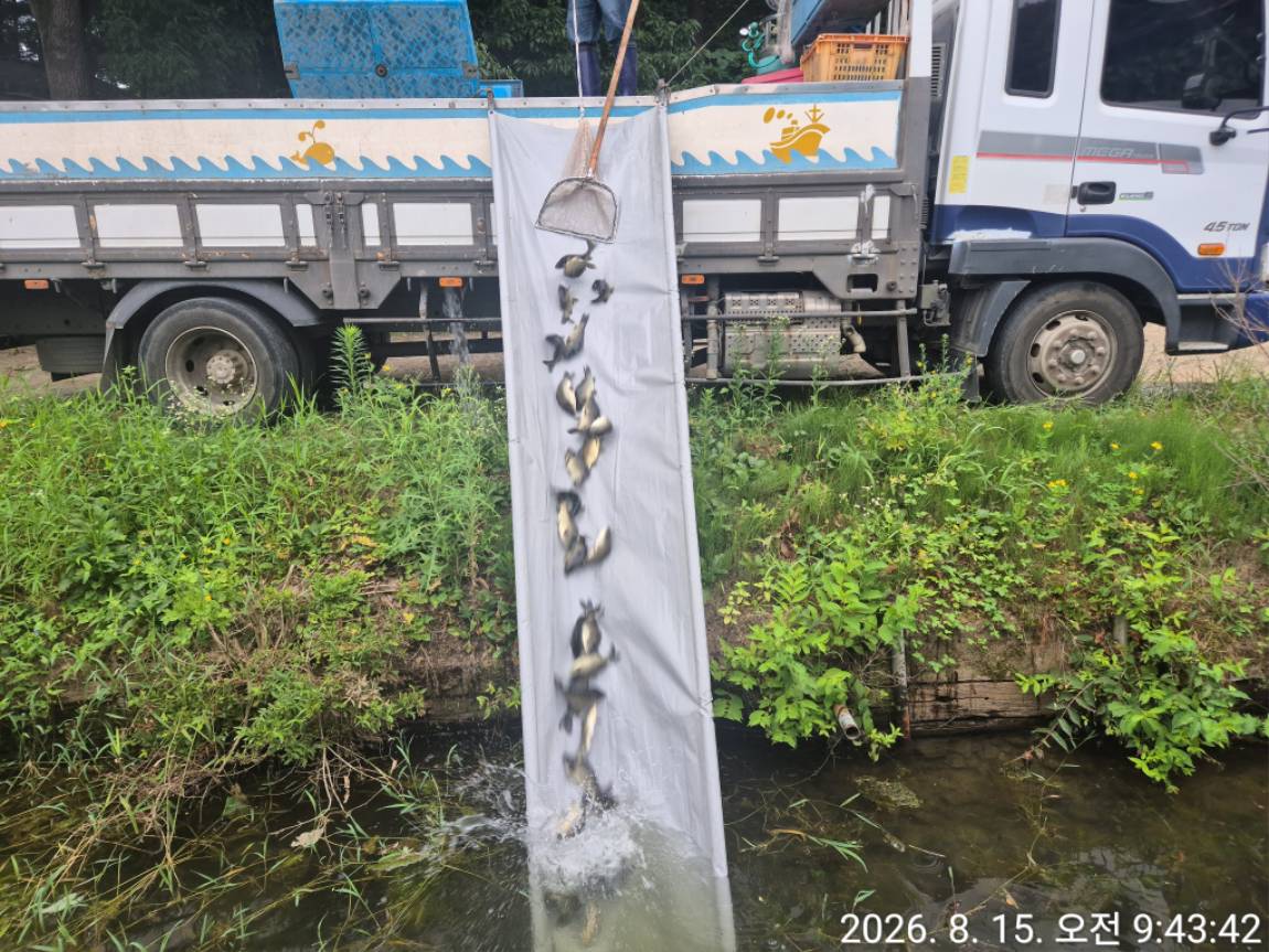 1000015356.jpg