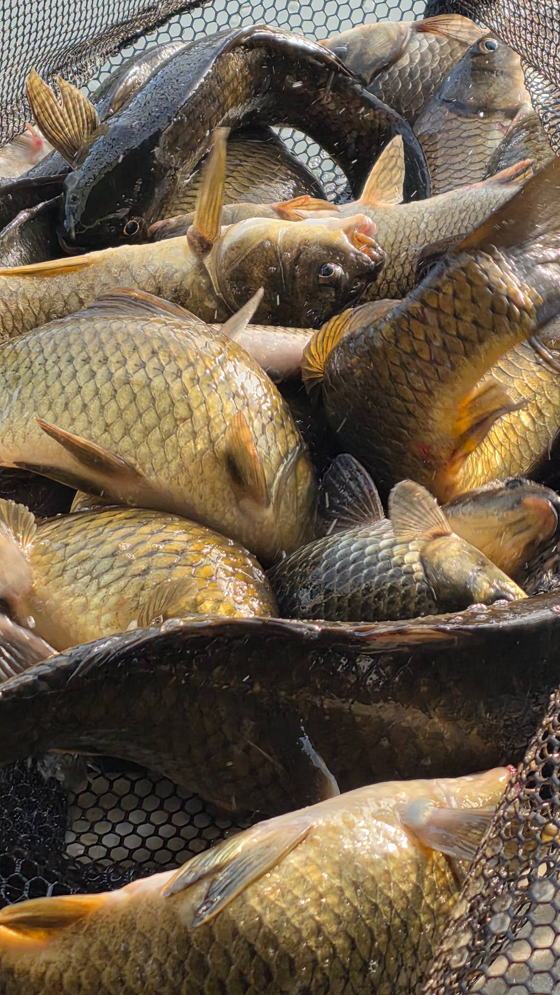 1787026014103.jpg