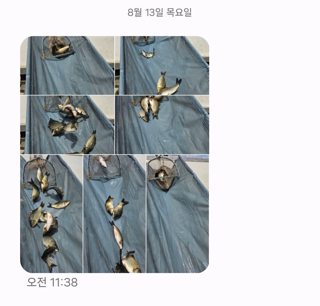 Screenshot_20260813_184515_Messages.jpg