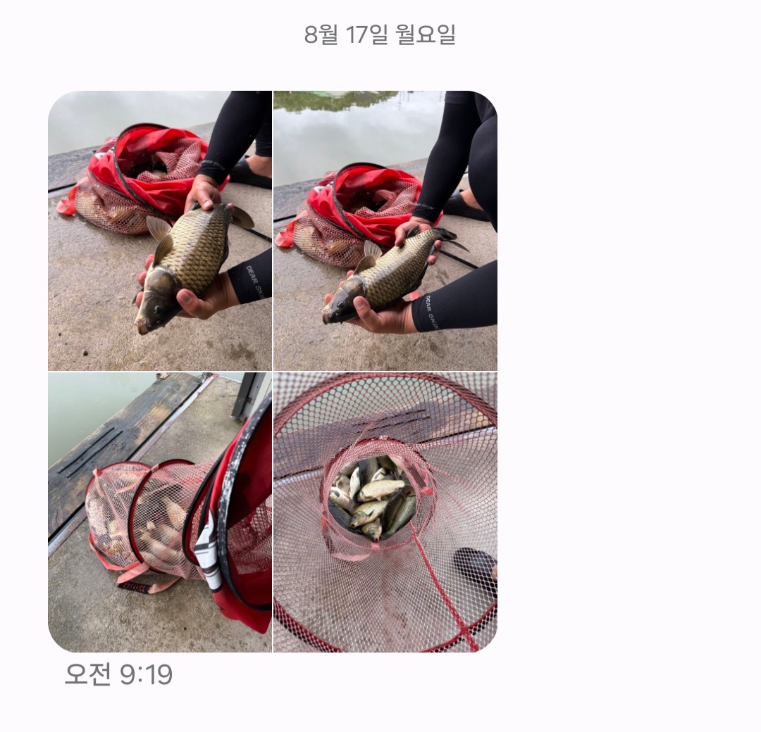Screenshot_20260817_101458_Messages.jpg