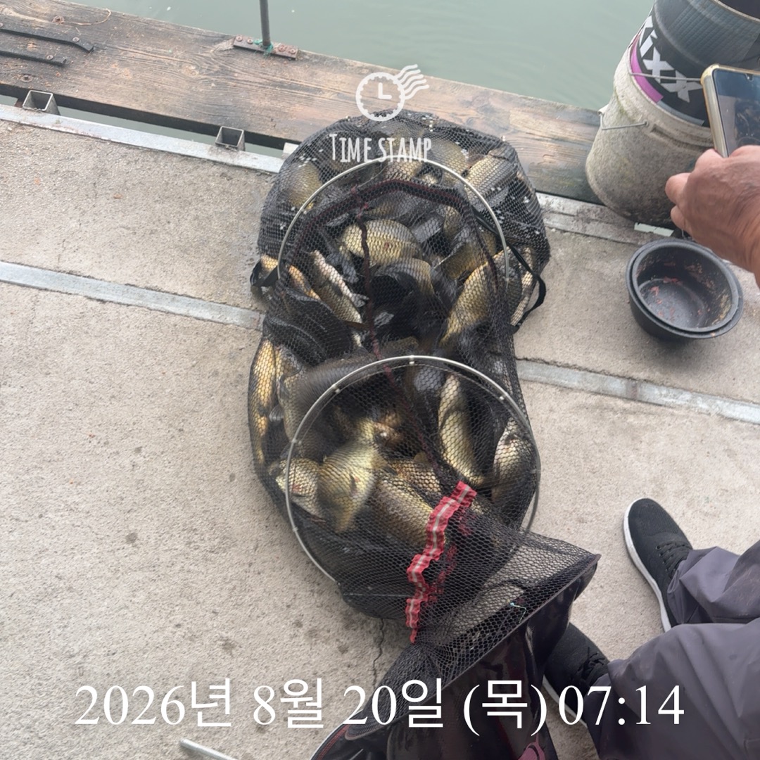 KakaoTalk_20260820_091045896_01.jpg