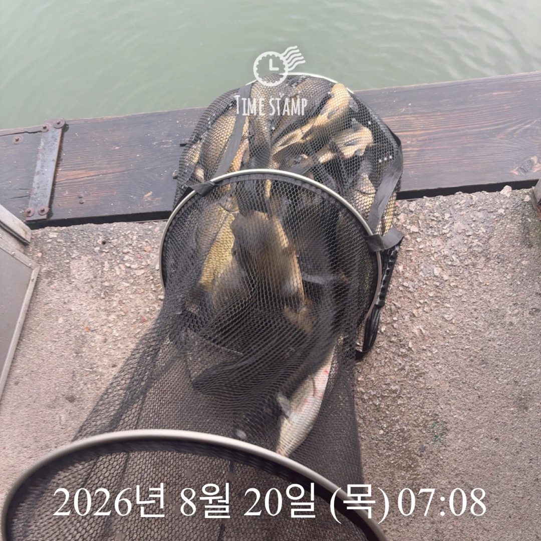 KakaoTalk_20260820_091045896_02.jpg