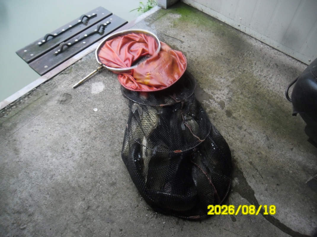 SAM_2207.JPG