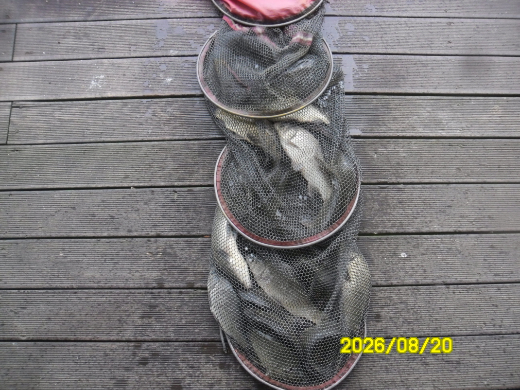 SAM_2229.JPG