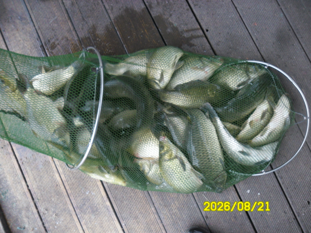 SAM_2246.JPG