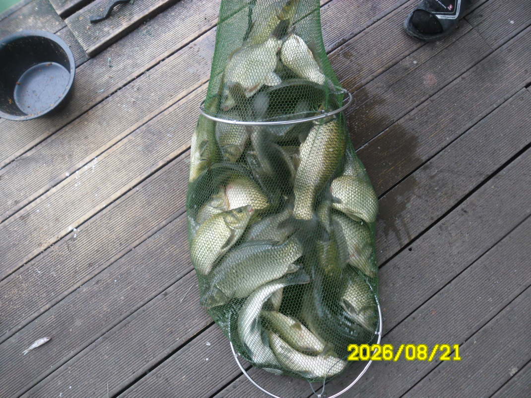 SAM_2247.JPG