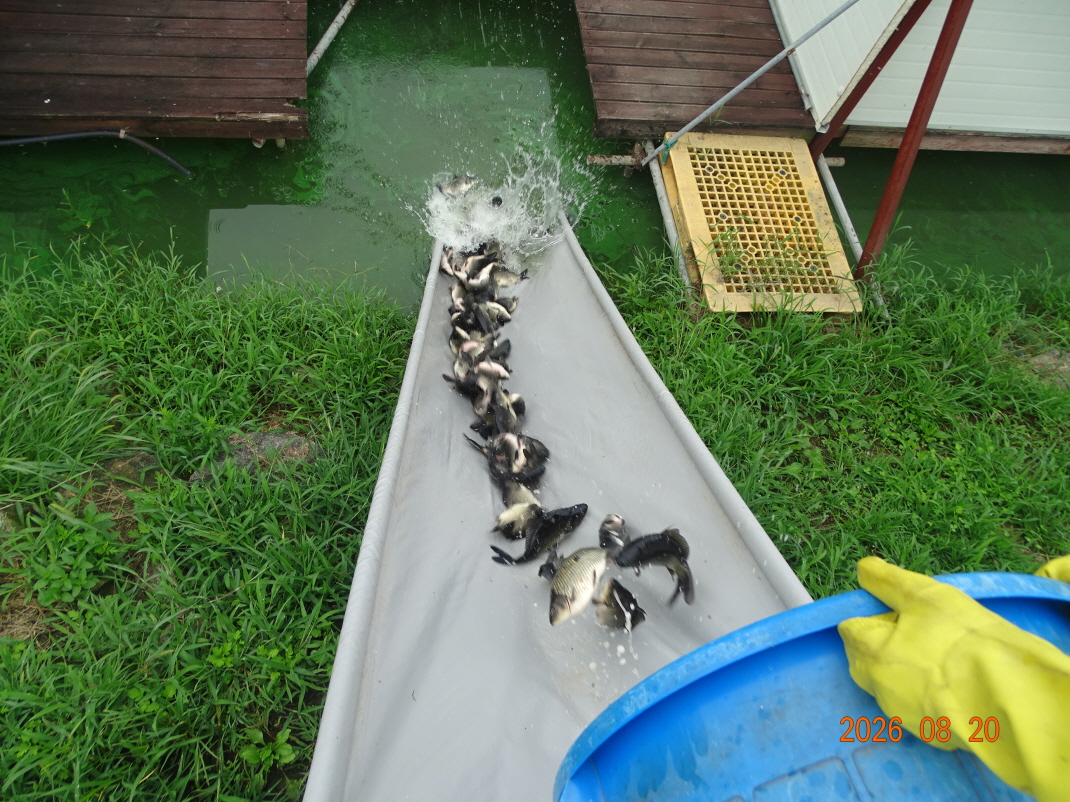 DSC07669.JPG