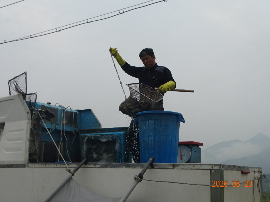 DSC07678.JPG