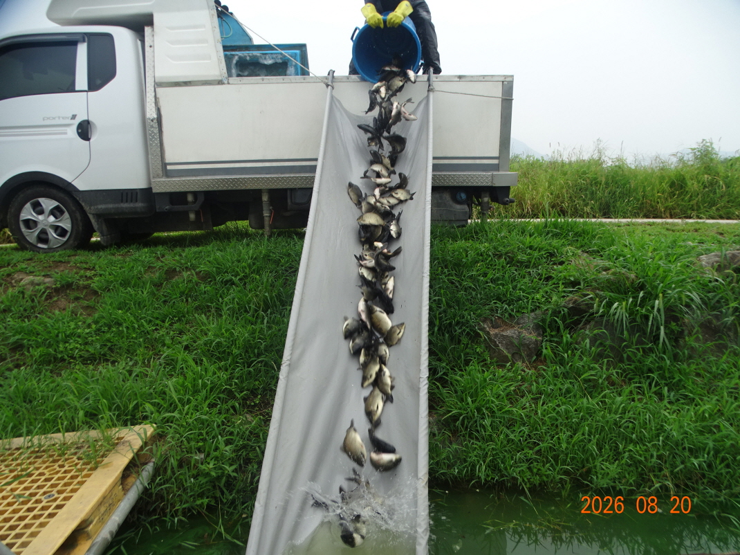 DSC07676.JPG