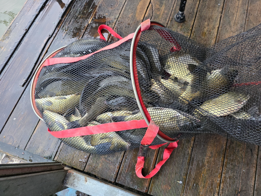 aKakaoTalk_20260821_073423010_23.jpg