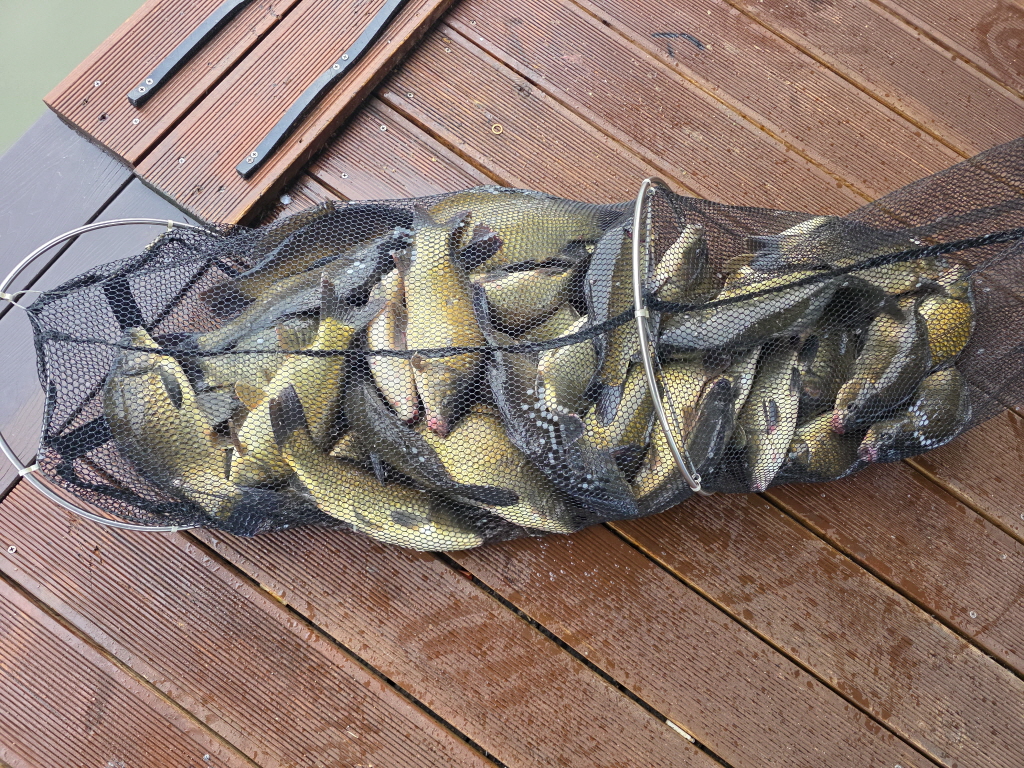 aKakaoTalk_20260821_073423010_11.jpg