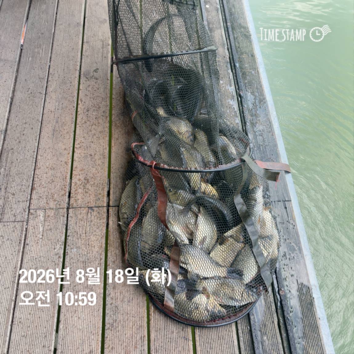 KakaoTalk_20260821_100919149_01.jpg