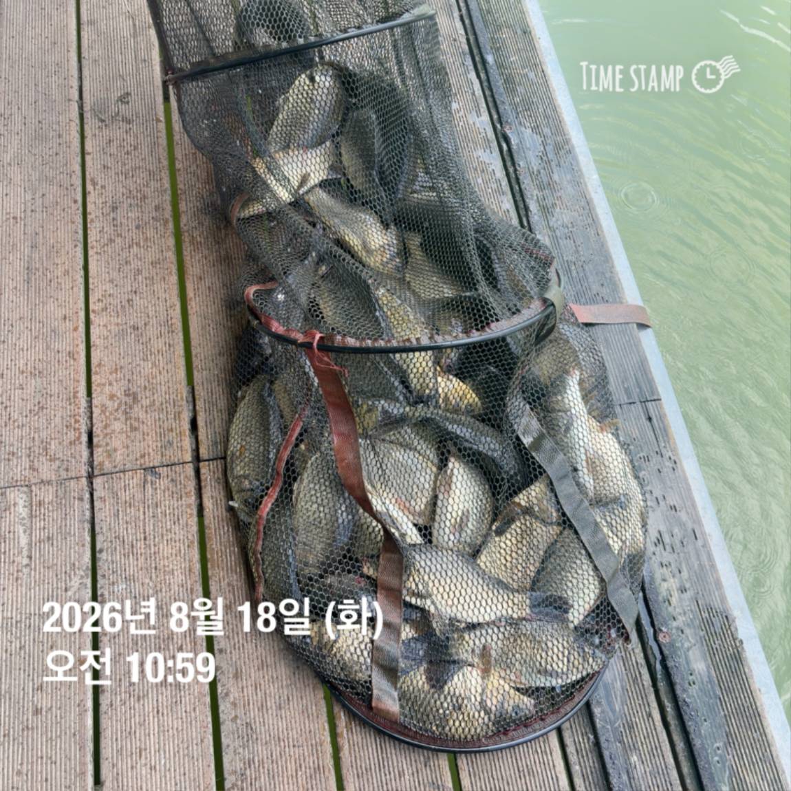 KakaoTalk_20260821_100919149_02.jpg