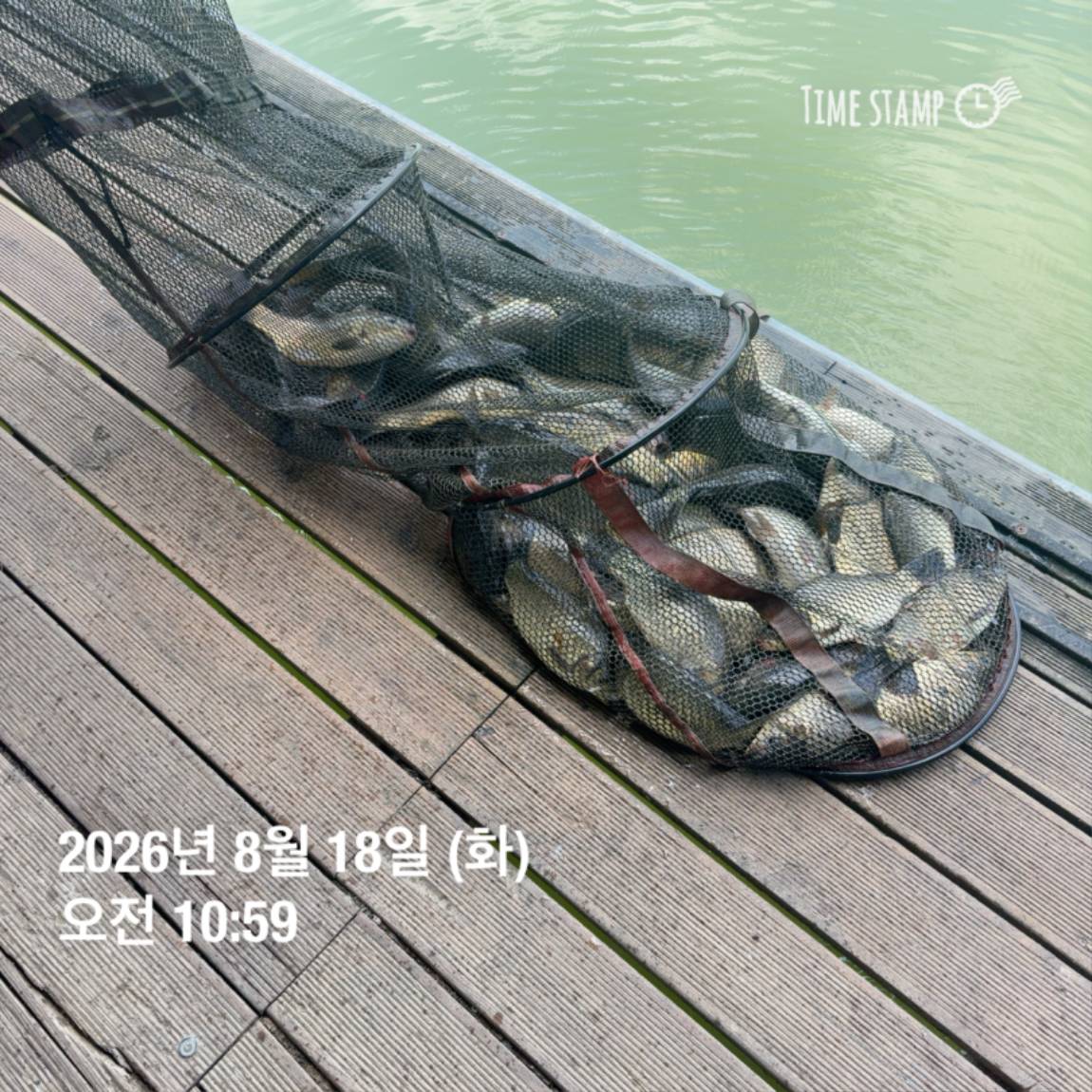 KakaoTalk_20260821_100919149_03.jpg