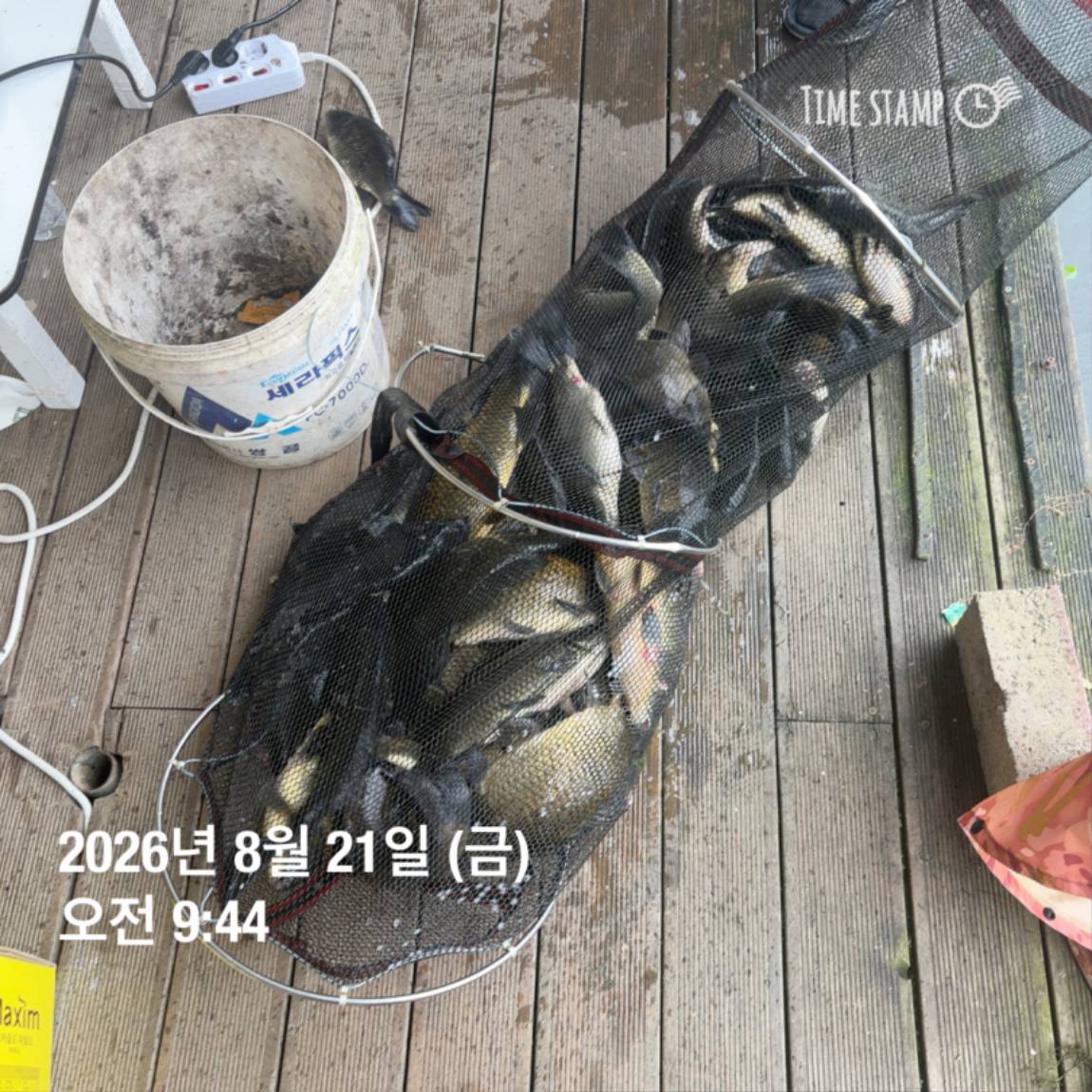 KakaoTalk_20260821_100919149_06.jpg