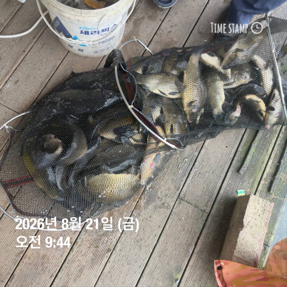KakaoTalk_20260821_100919149_07.jpg