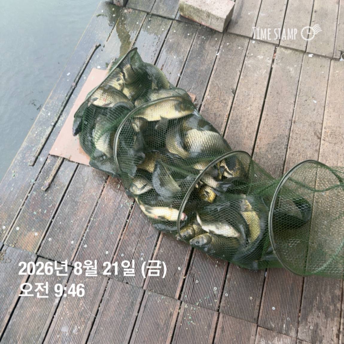 KakaoTalk_20260821_100919149_09.jpg