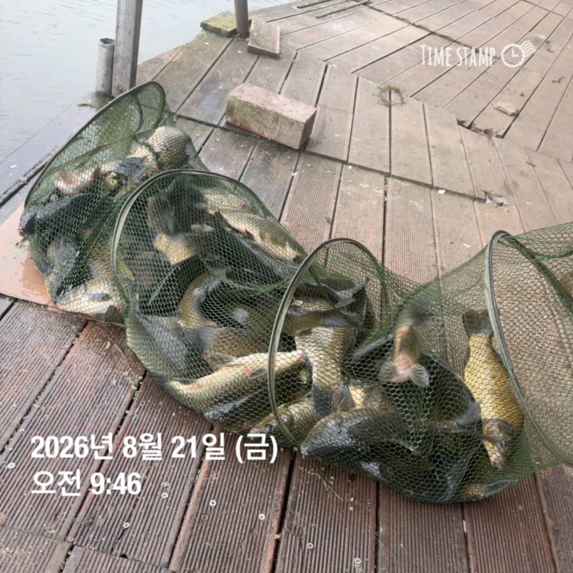 KakaoTalk_20260821_100919149_11.jpg