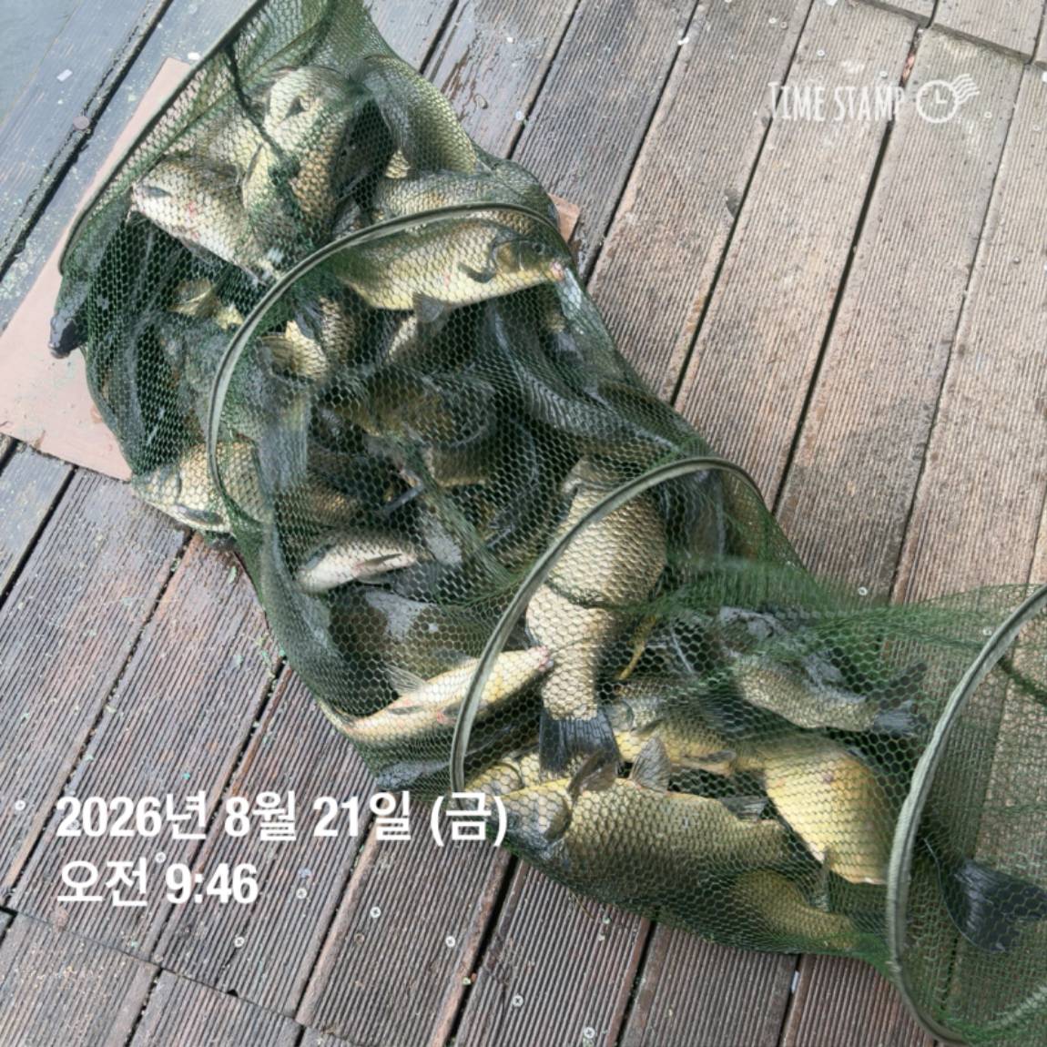 KakaoTalk_20260821_100919149_10.jpg