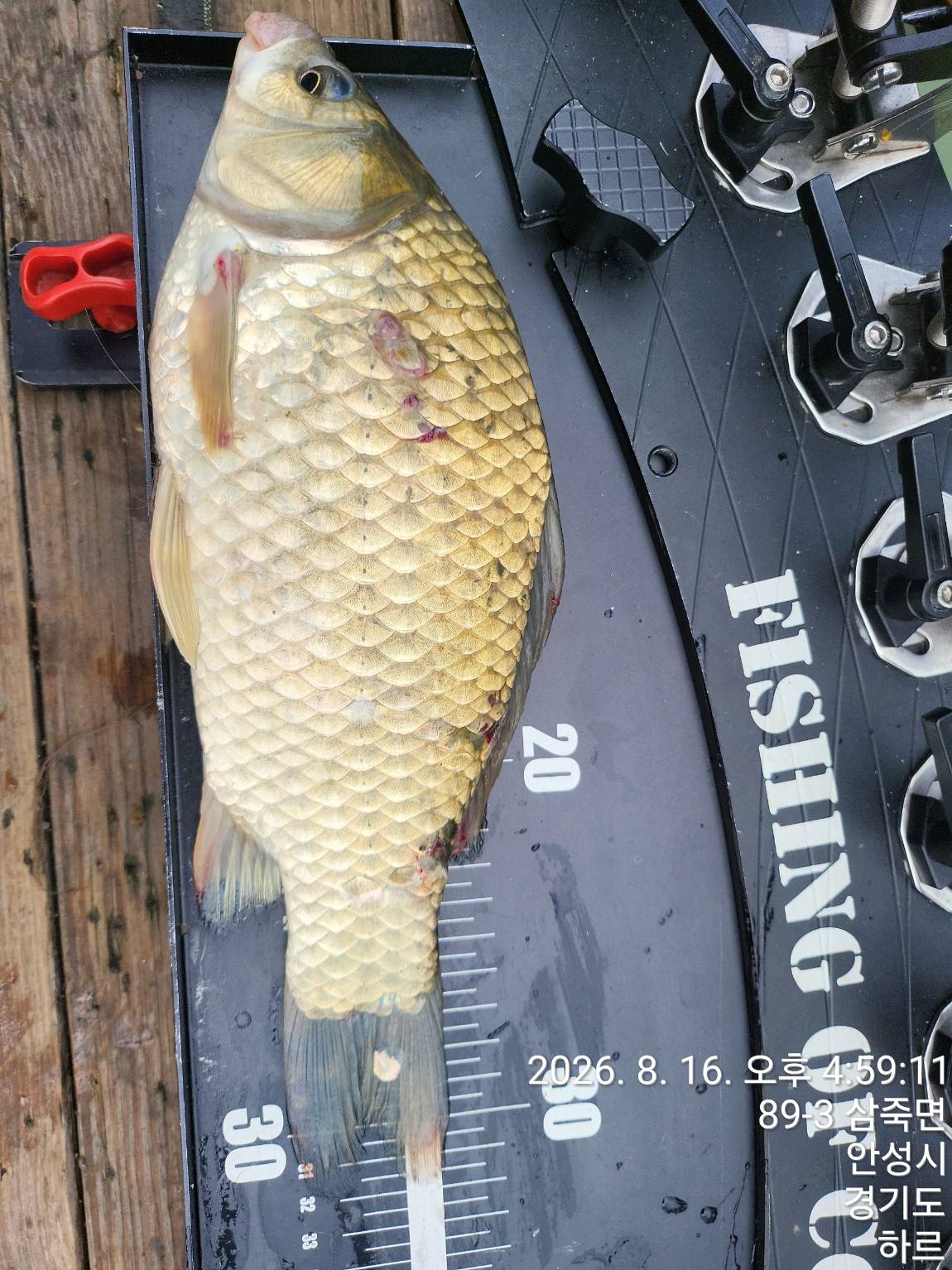 KakaoTalk_20260821_211447366_11.jpg