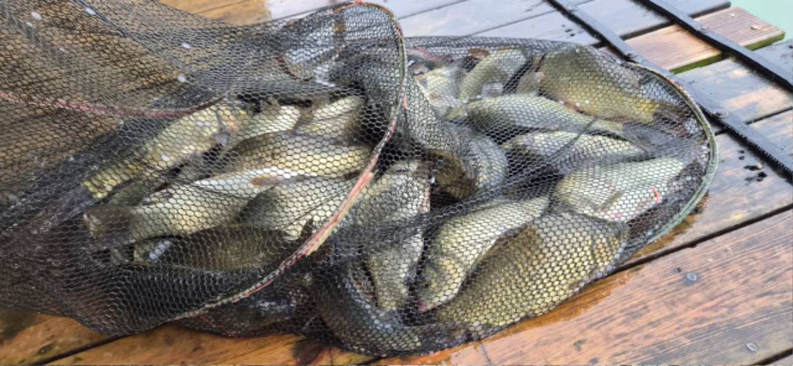 13 (4).jpeg