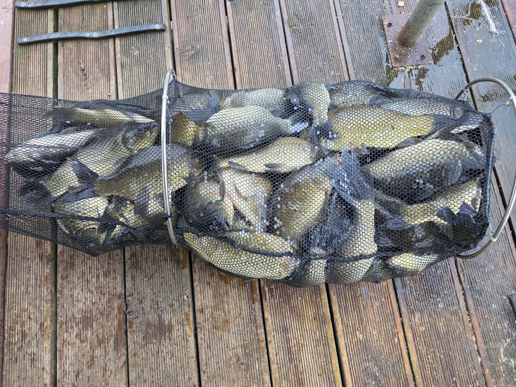 aKakaoTalk_20260822_102535065_27.jpg