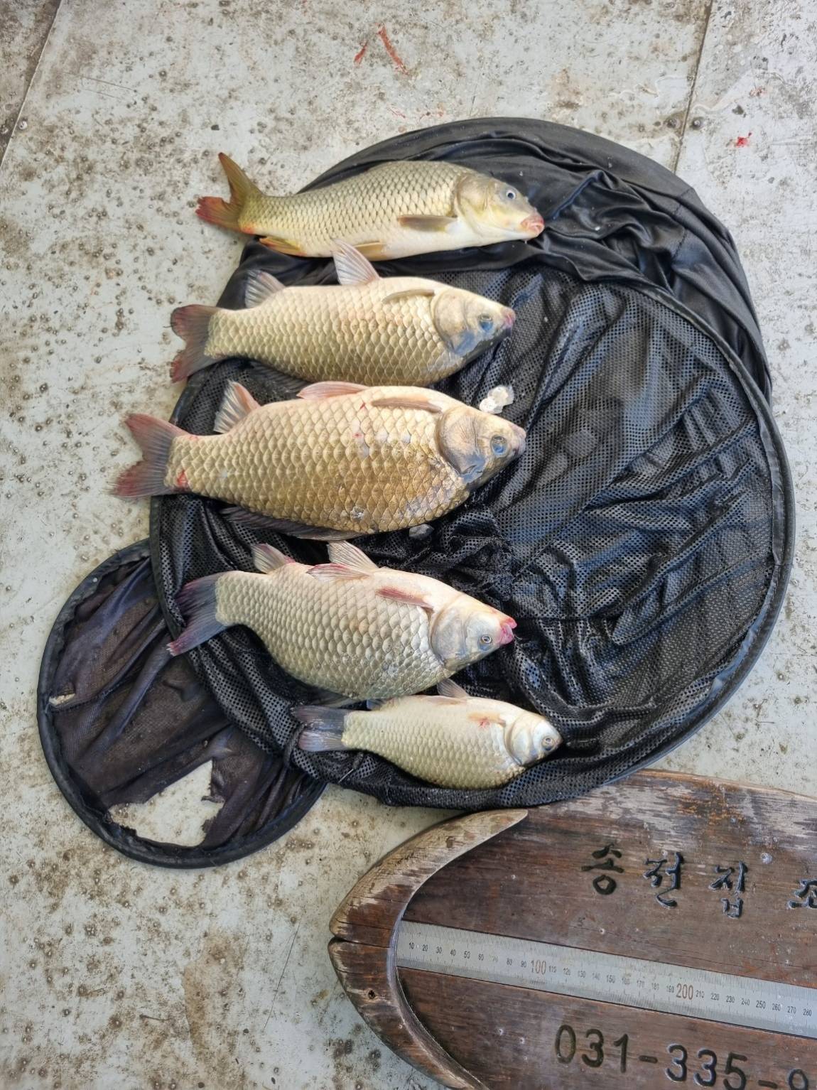 KakaoTalk_20260823_112406565.jpg