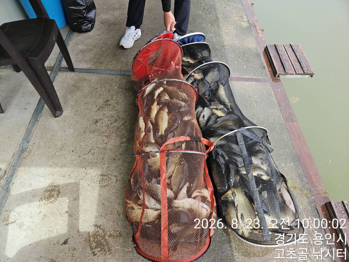 1787447484135.jpg