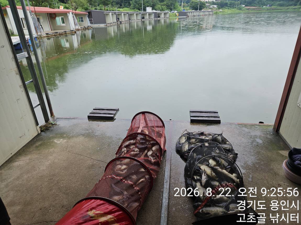 1787444760485.jpg