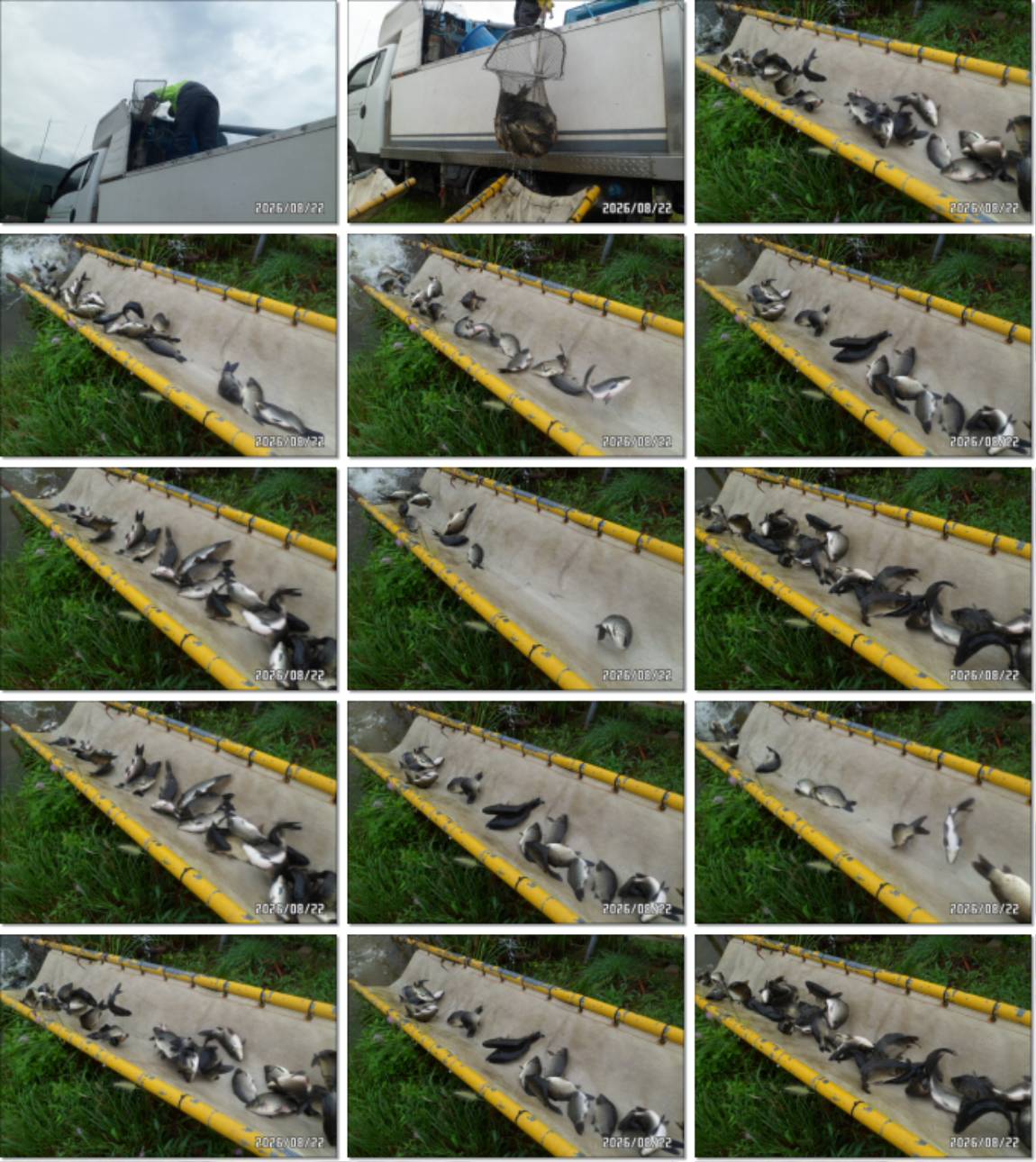 SAM_7382-tile.jpg