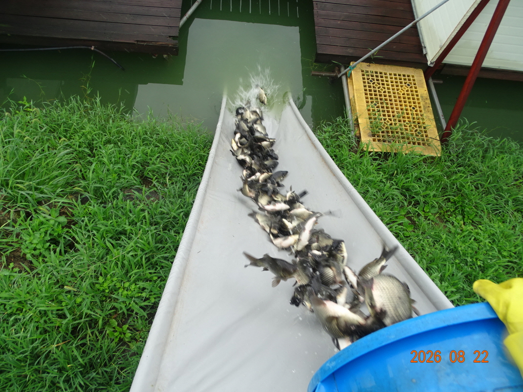 DSC07726.JPG