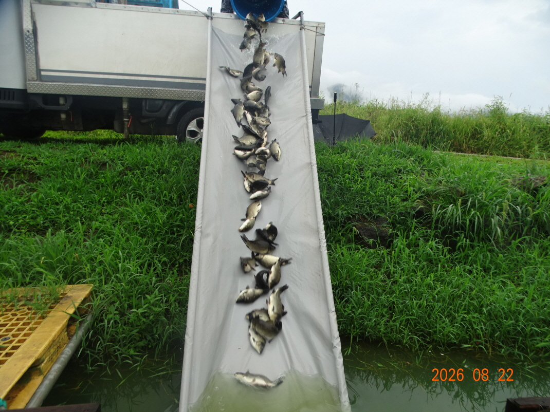 DSC07750.JPG