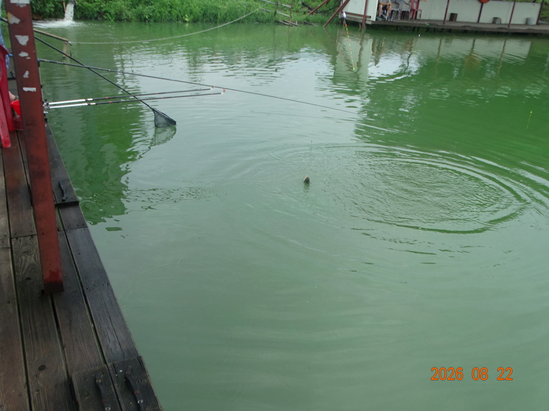 DSC07763.JPG