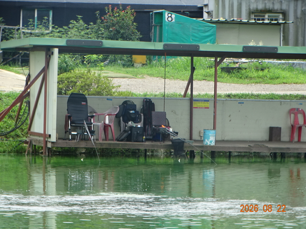 DSC07798.JPG