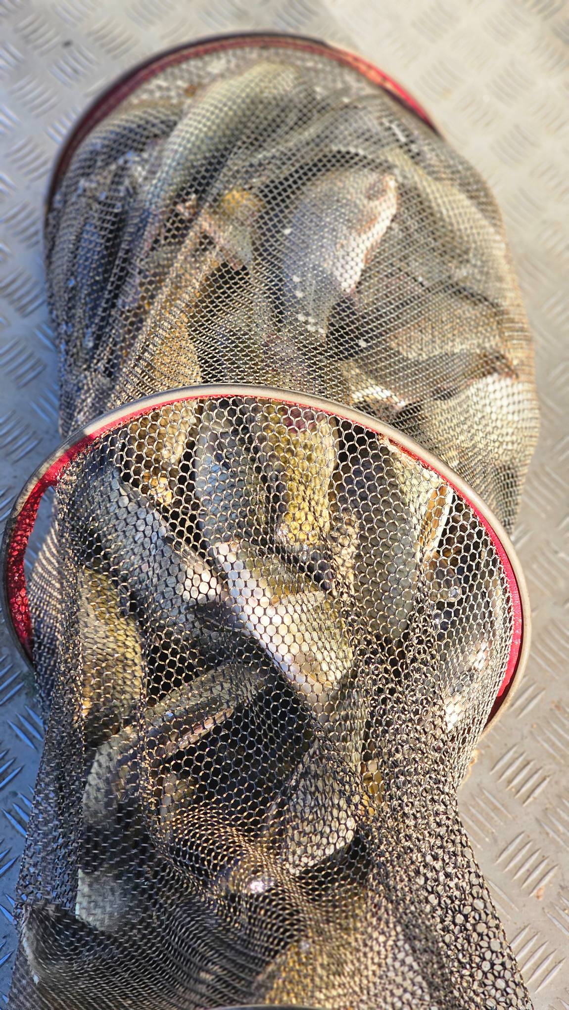 20260823_072441.jpg